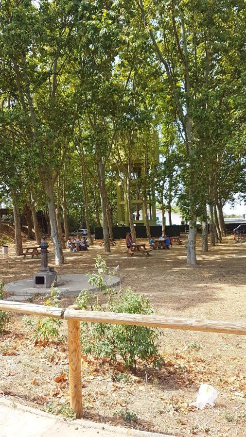 Maison De Vacances A Empuriabrava "Oasis"别墅 外观 照片