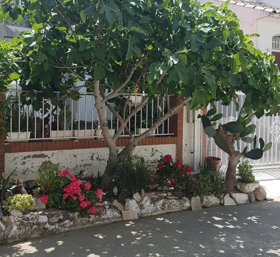 Maison De Vacances A Empuriabrava "Oasis"别墅 外观 照片